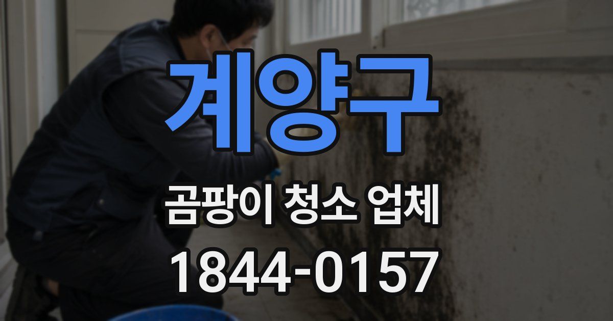 계양구 곰팡이 청소 업체