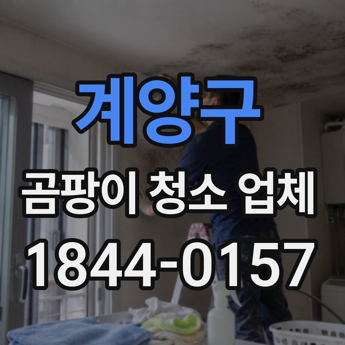 계양구 곰팡이 청소 업체