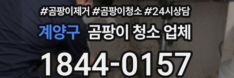 계양구 곰팡이 청소 업체