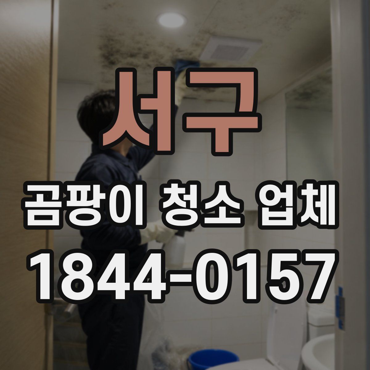 서구 곰팡이 청소 업체