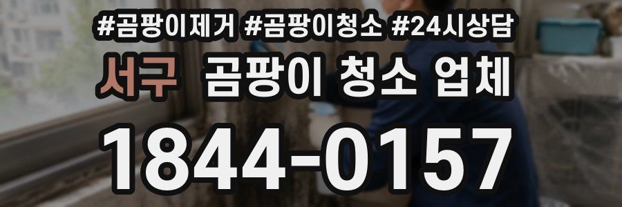 서구 곰팡이 청소 업체