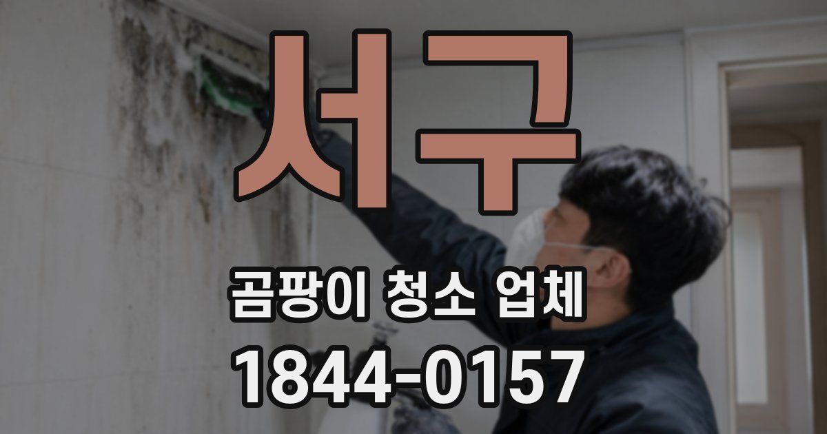 서구 곰팡이 청소 업체