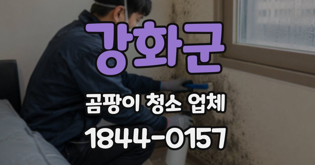 강화군 곰팡이 청소 업체