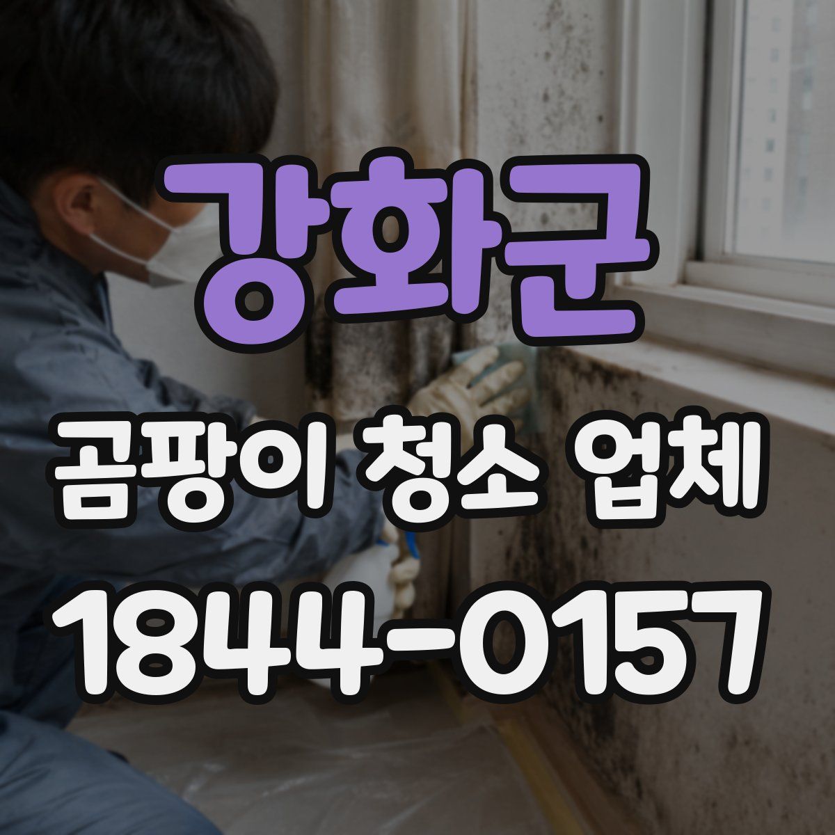 강화군 곰팡이 청소 업체