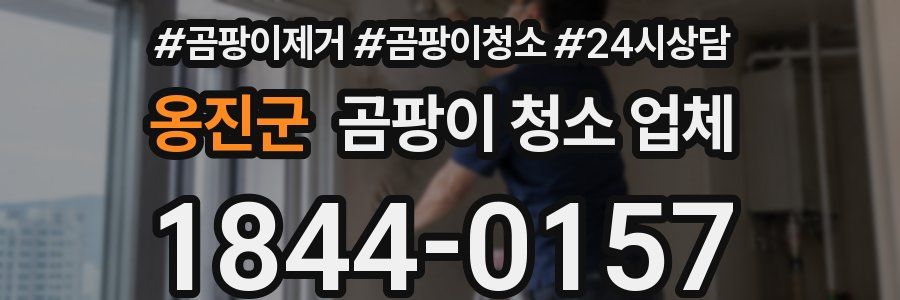 옹진군 곰팡이 청소 업체