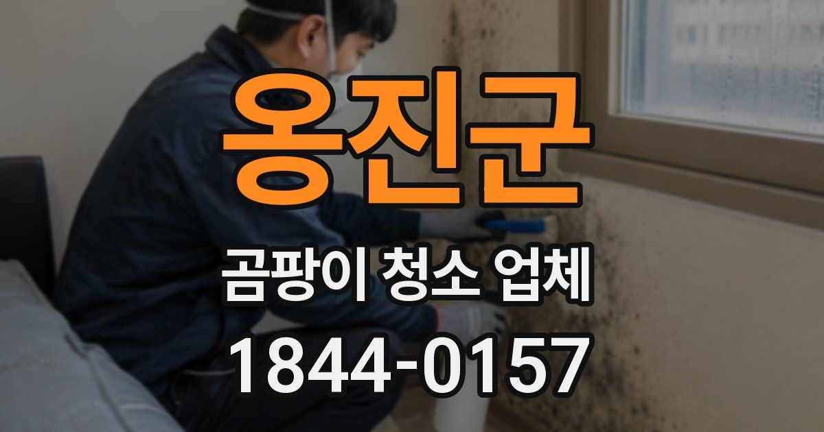 옹진군 곰팡이 청소 업체
