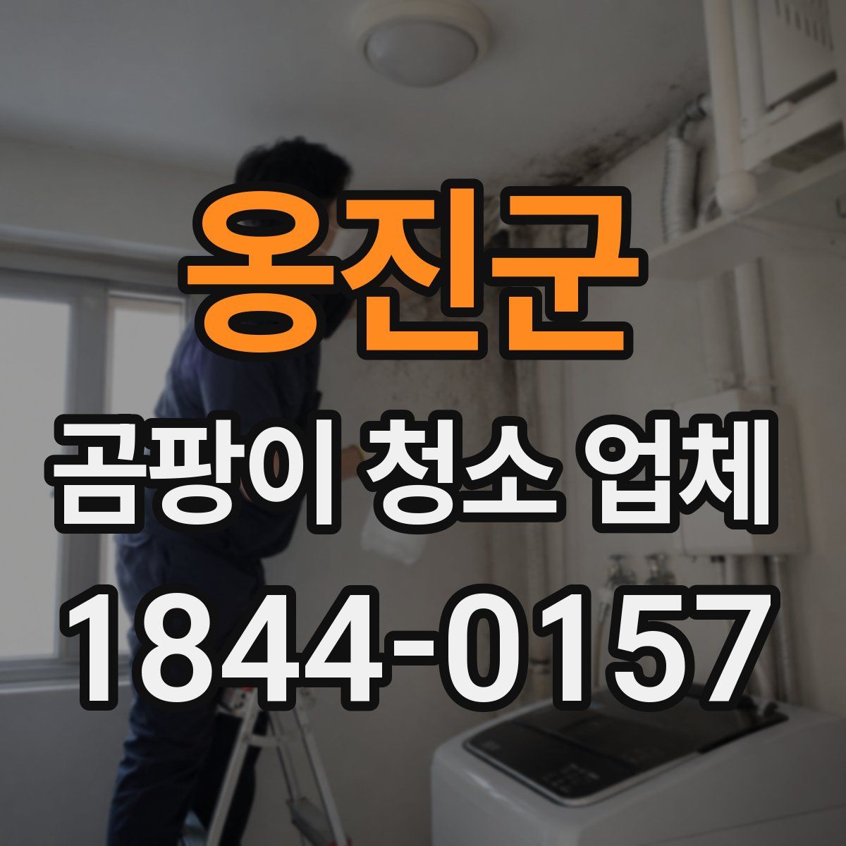 옹진군 곰팡이 청소 업체