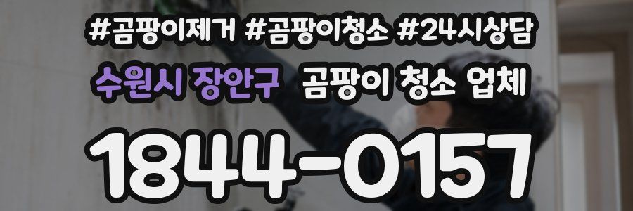 수원시 장안구 곰팡이 청소 업체