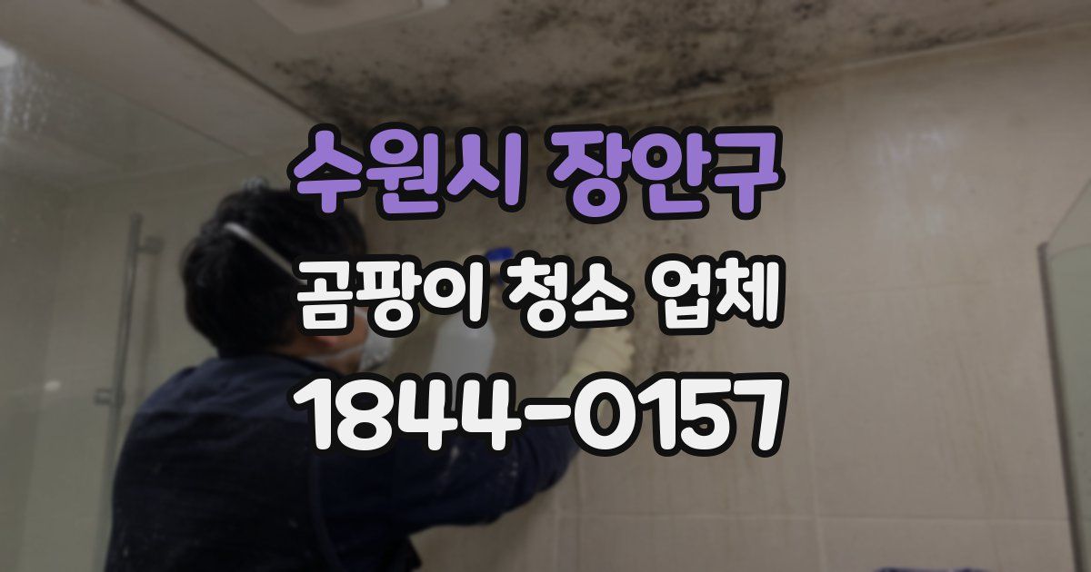 수원시 장안구 곰팡이 청소 업체