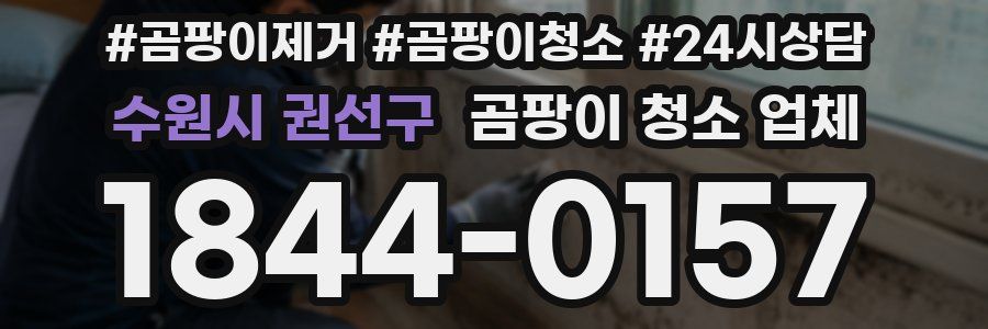 수원시 권선구 곰팡이 청소 업체