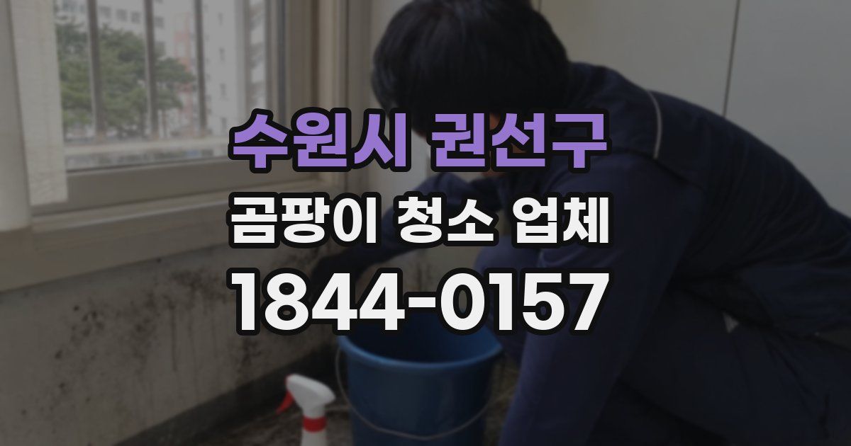수원시 권선구 곰팡이 청소 업체