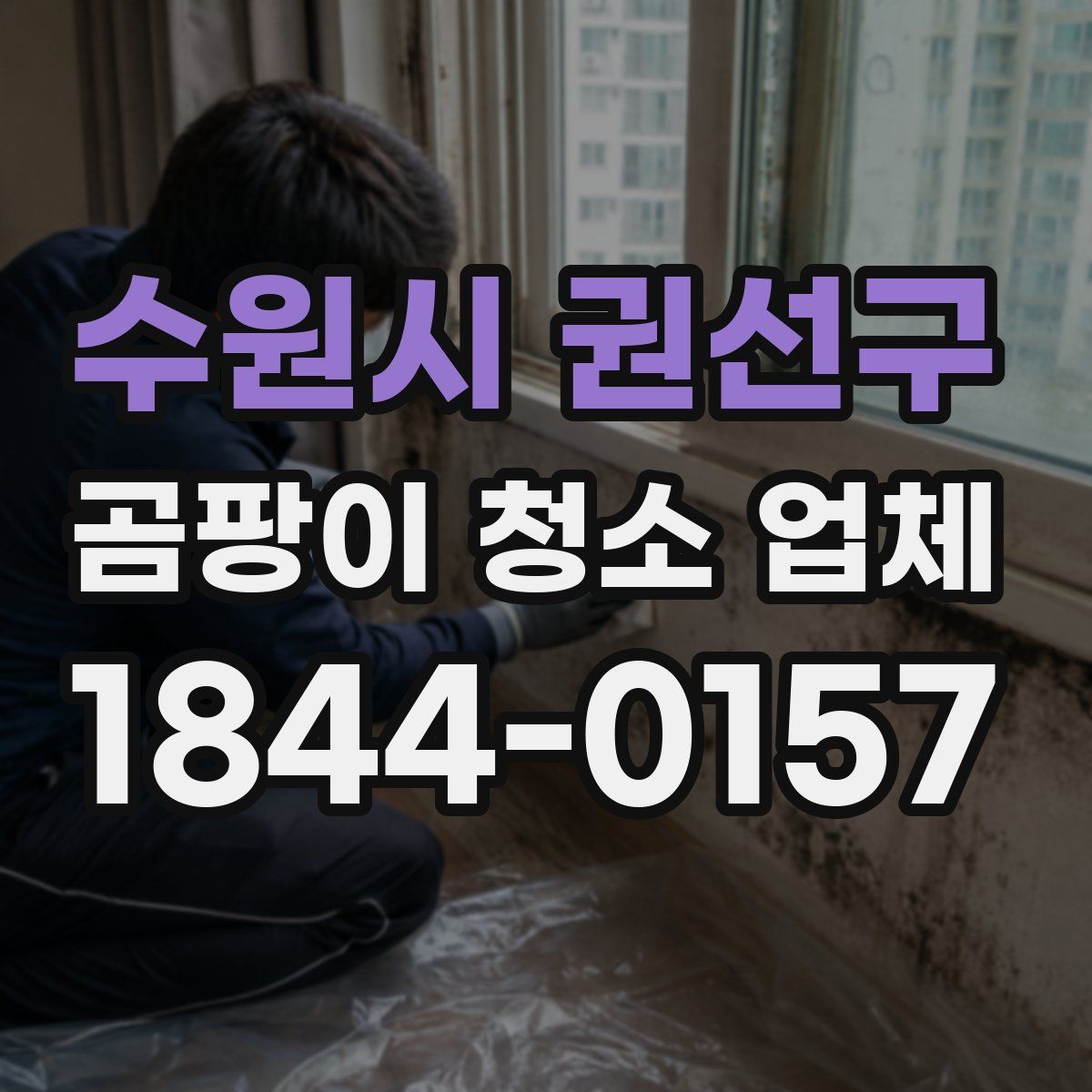수원시 권선구 곰팡이 청소 업체