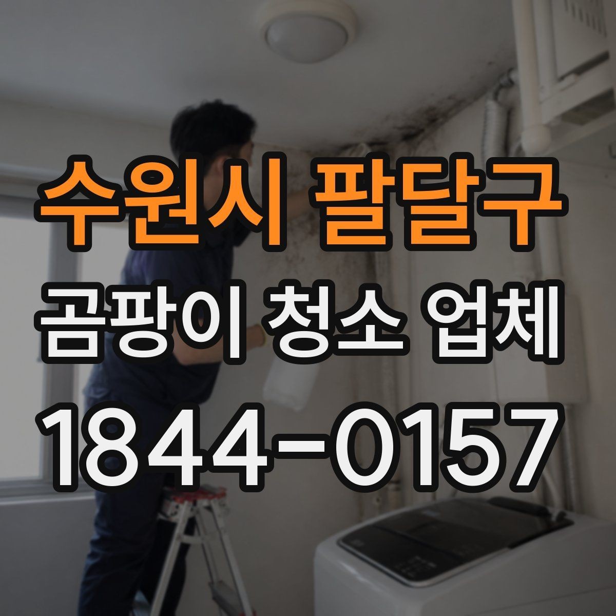 수원시 팔달구 곰팡이 청소 업체 현장 진단으로 확인하는 오염 깊이