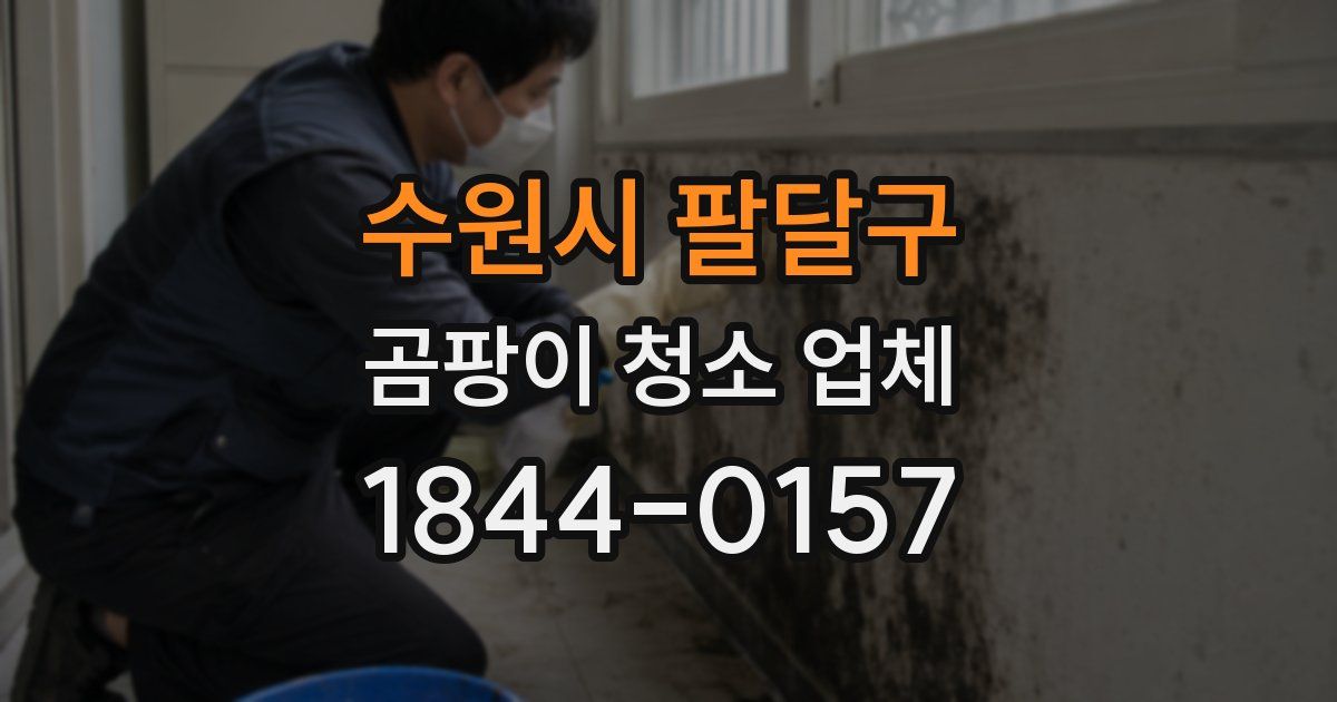 수원시 팔달구 곰팡이 청소 업체