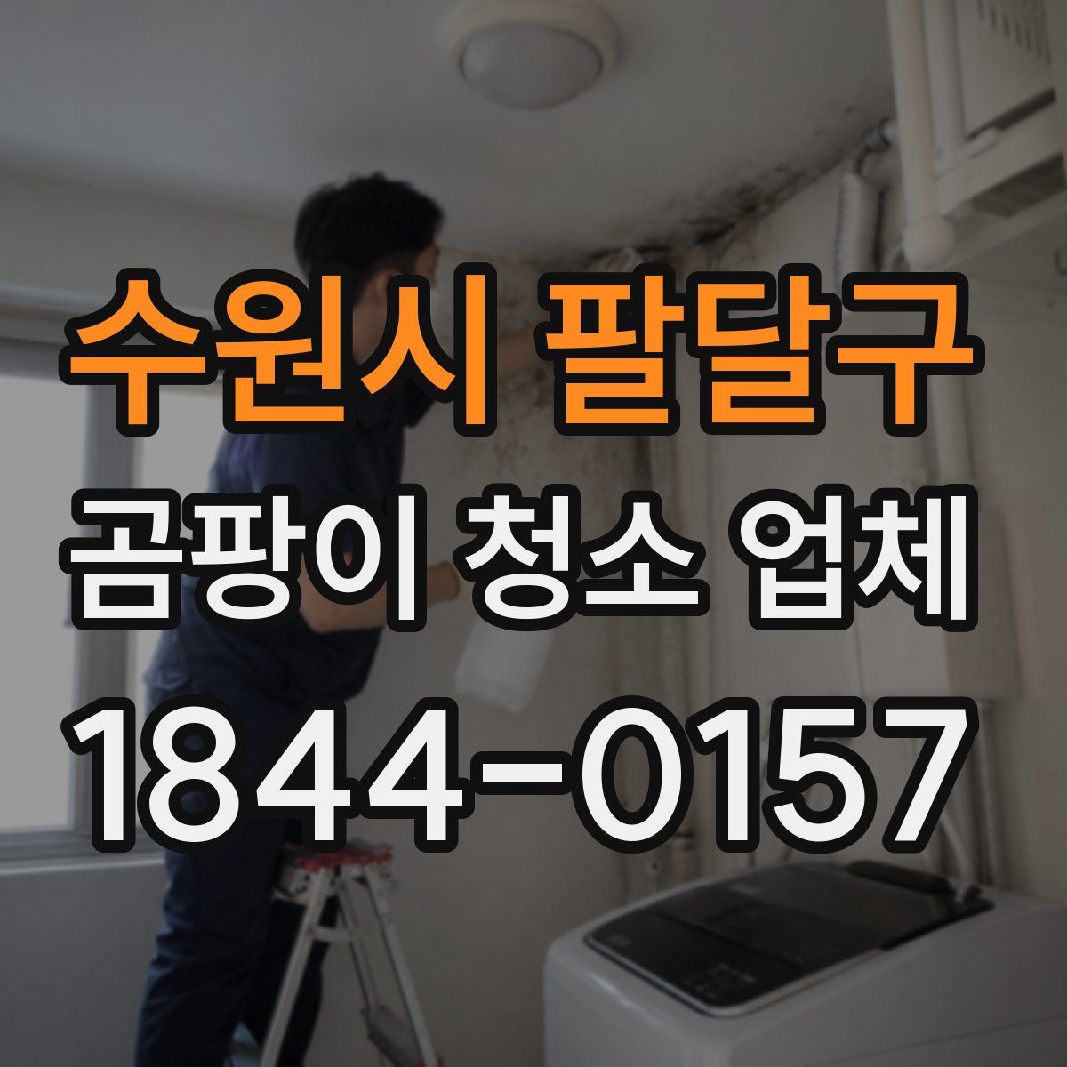 수원시 팔달구 곰팡이 청소 업체