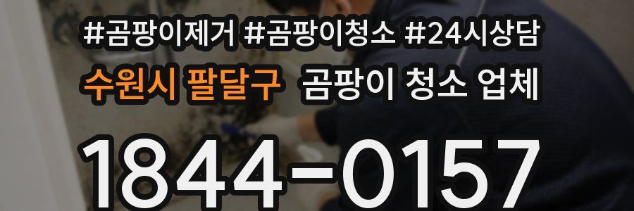 수원시 팔달구 곰팡이 청소 업체