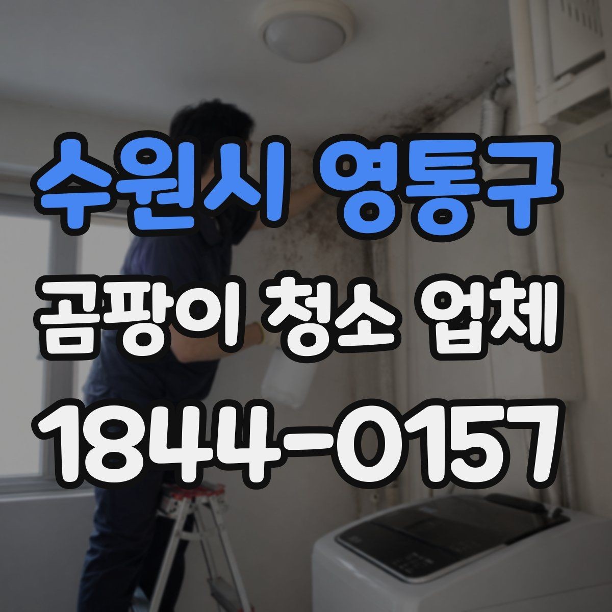수원시 영통구 곰팡이 청소 업체 장비 선택에 따라 달라지는 처리 결과