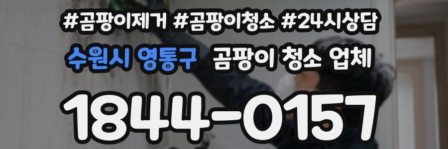 수원시 영통구 곰팡이 청소 업체