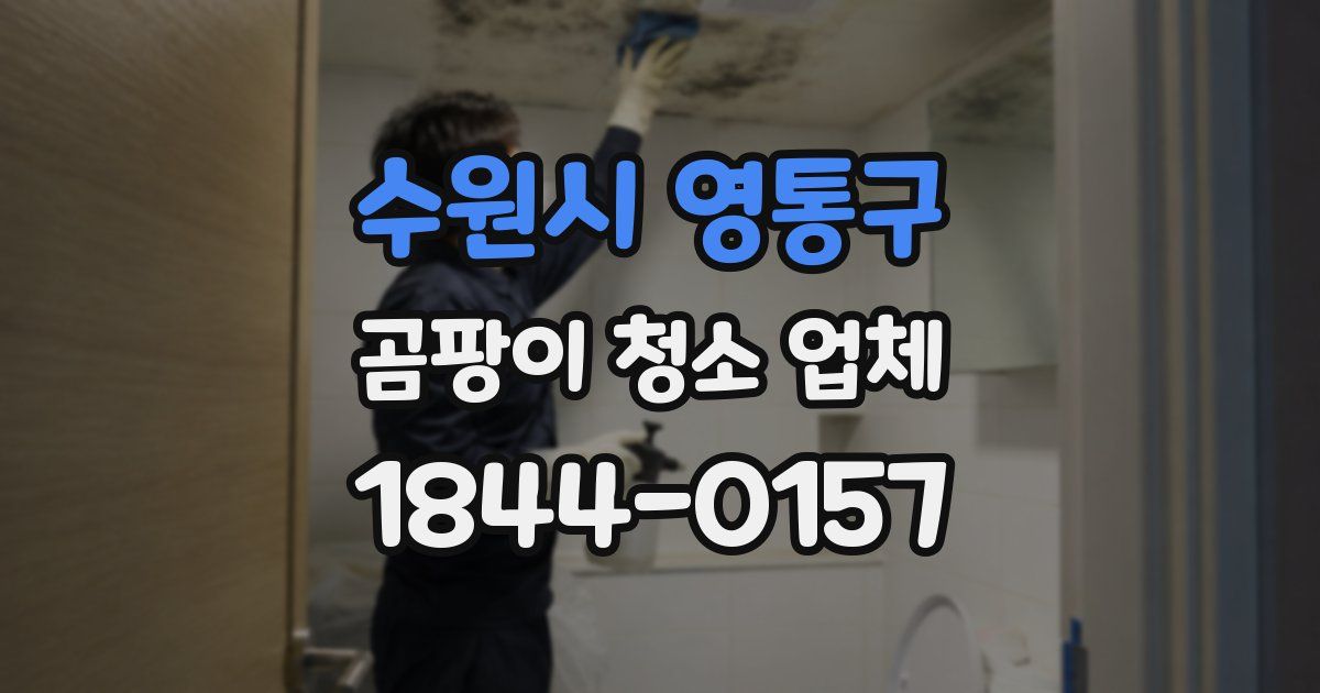 수원시 영통구 곰팡이 청소 업체