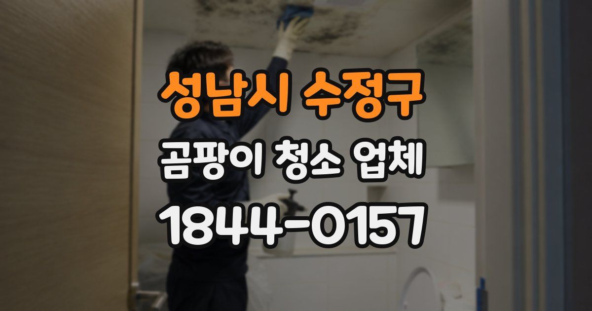 성남시 수정구 곰팡이 청소 업체