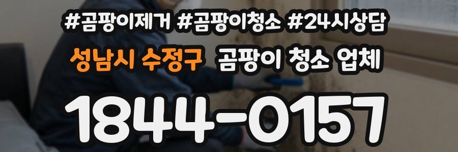 성남시 수정구 곰팡이 청소 업체