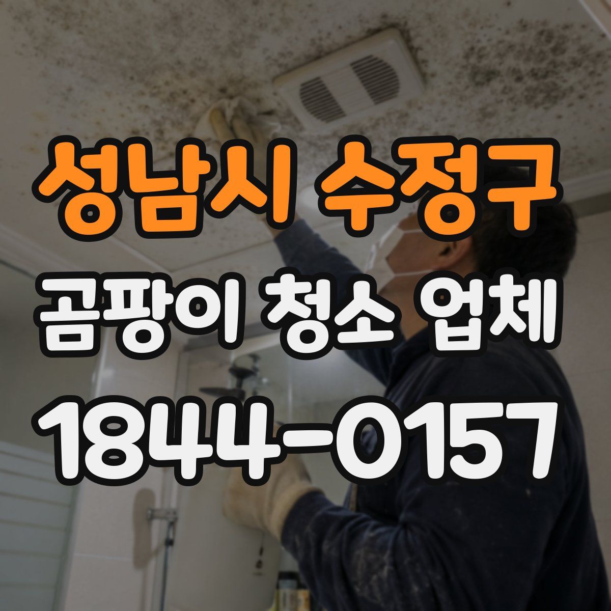 성남시 수정구 곰팡이 청소 업체