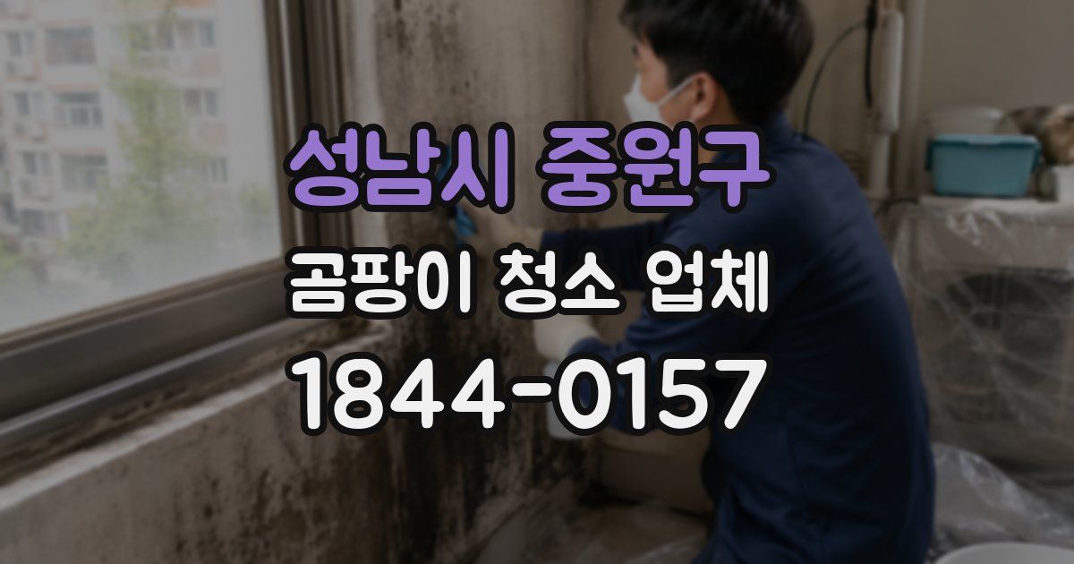 성남시 중원구 곰팡이 청소 업체