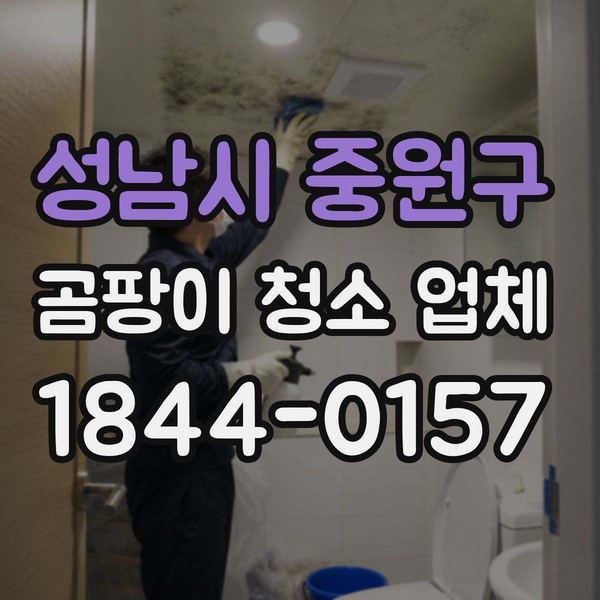 성남시 중원구 곰팡이 청소 업체