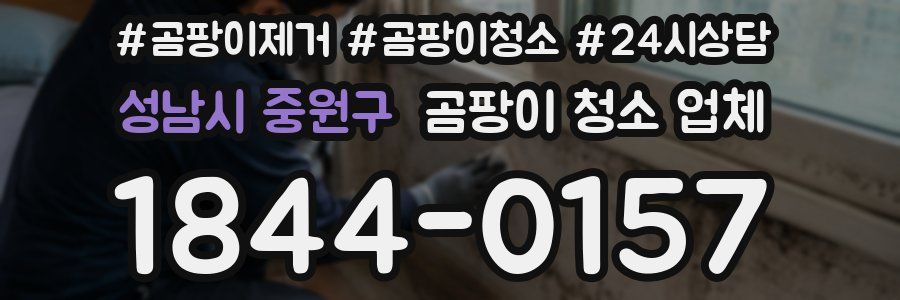 성남시 중원구 곰팡이 청소 업체