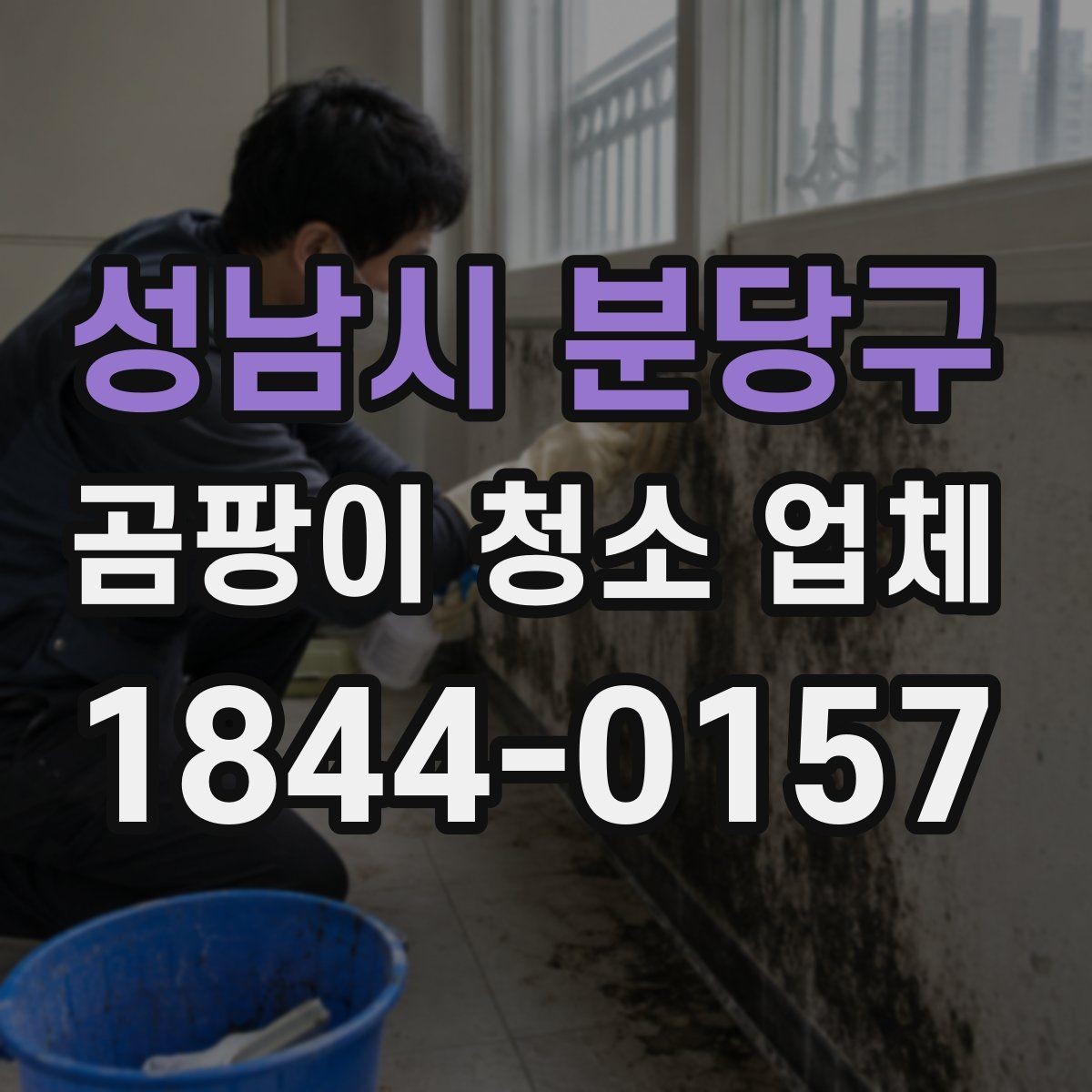 성남시 분당구 곰팡이 청소 업체 벽 뒤와 가구 뒤까지 살피는 점검 이유