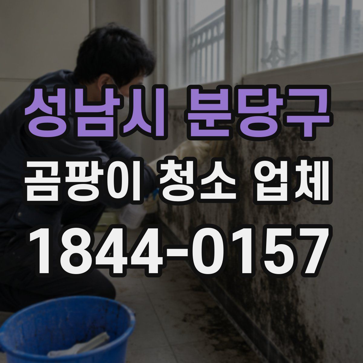 성남시 분당구 곰팡이 청소 업체