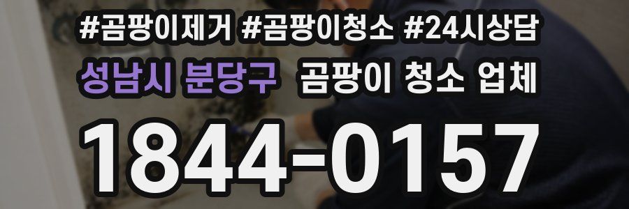 성남시 분당구 곰팡이 청소 업체