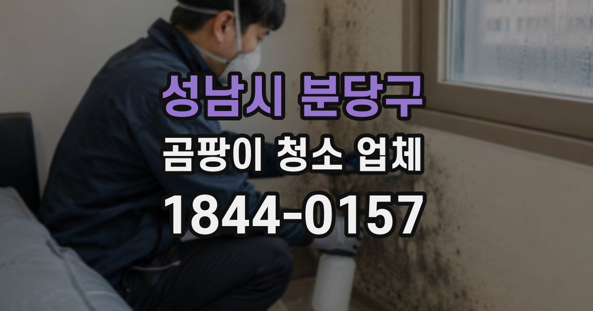 성남시 분당구 곰팡이 청소 업체