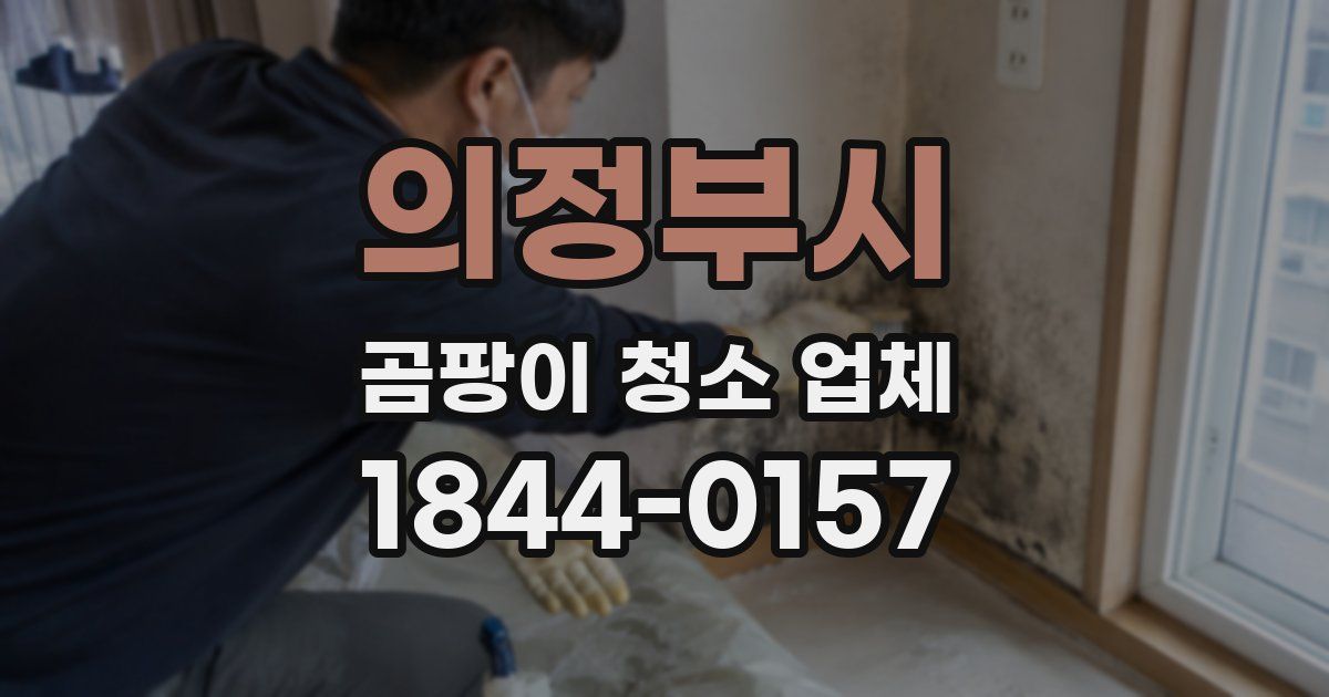 의정부시 곰팡이 청소 업체