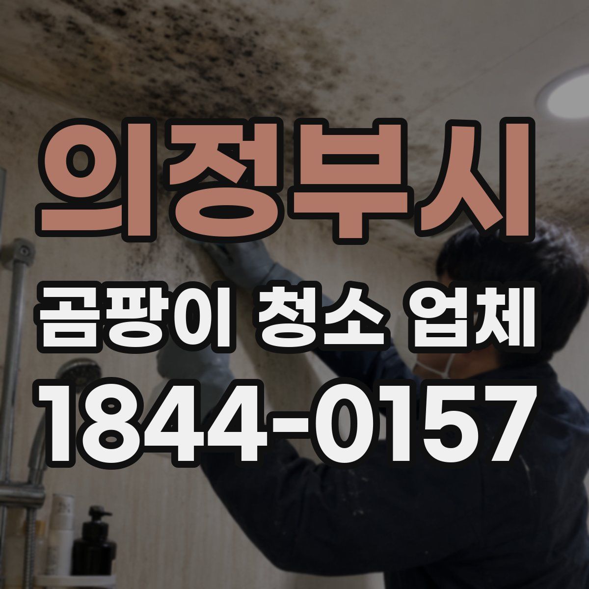 의정부시 곰팡이 청소 업체