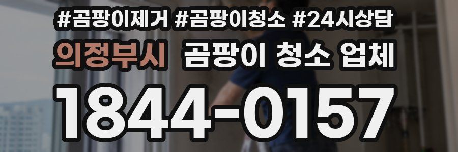 의정부시 곰팡이 청소 업체
