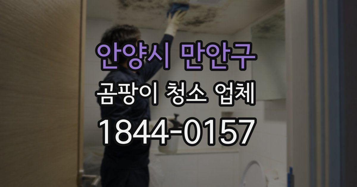 안양시 만안구 곰팡이 청소 업체
