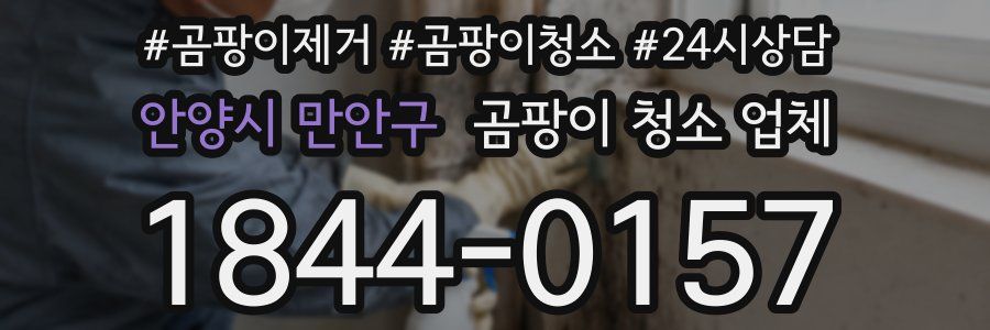 안양시 만안구 곰팡이 청소 업체