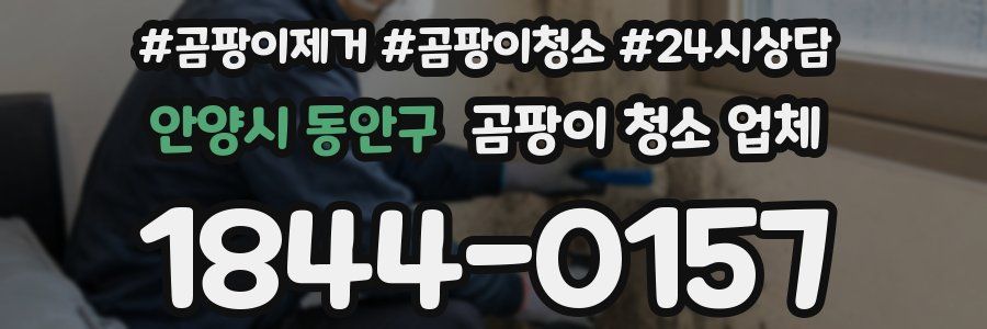 안양시 동안구 곰팡이 청소 업체