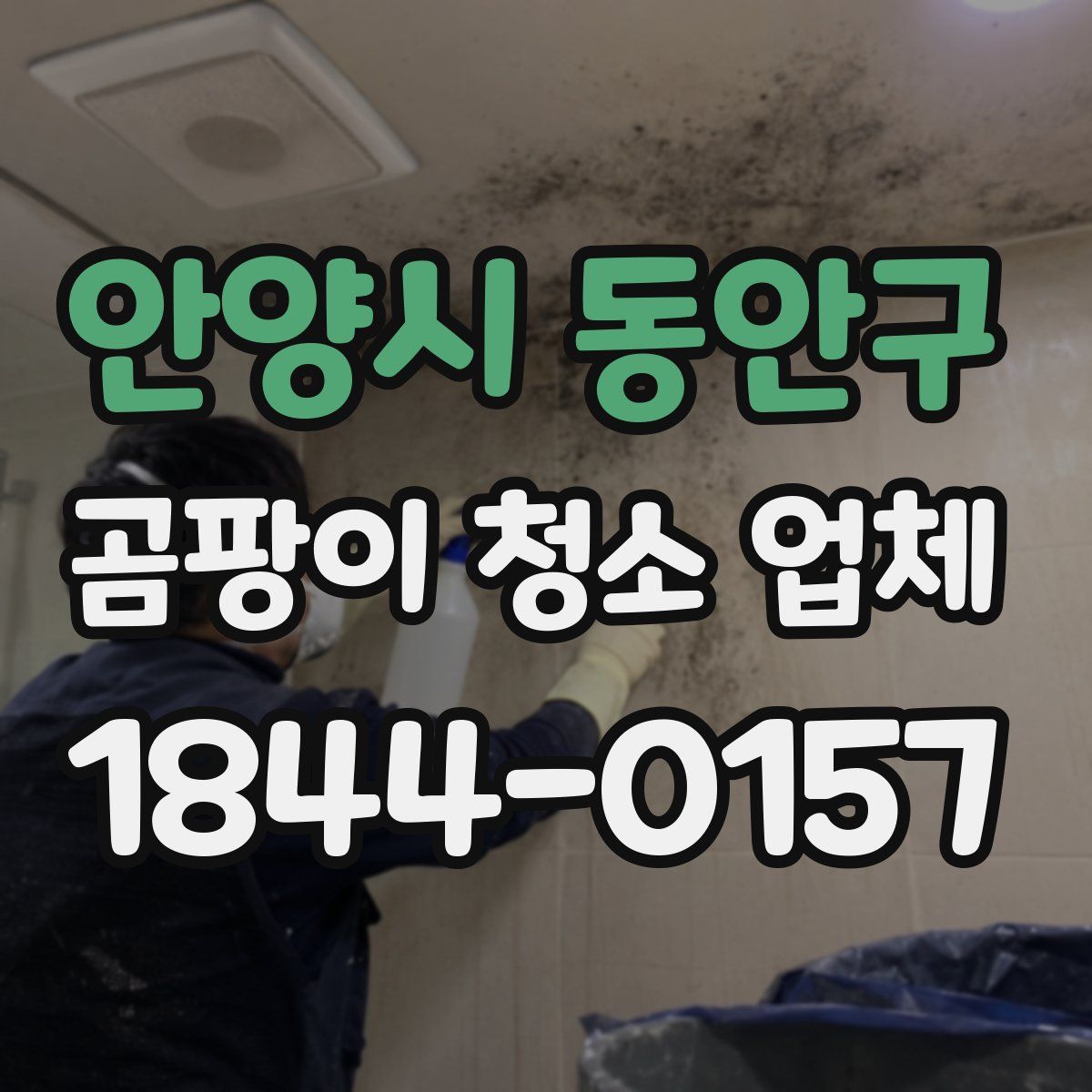 안양시 동안구 곰팡이 청소 업체