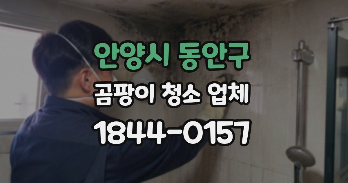 안양시 동안구 곰팡이 청소 업체