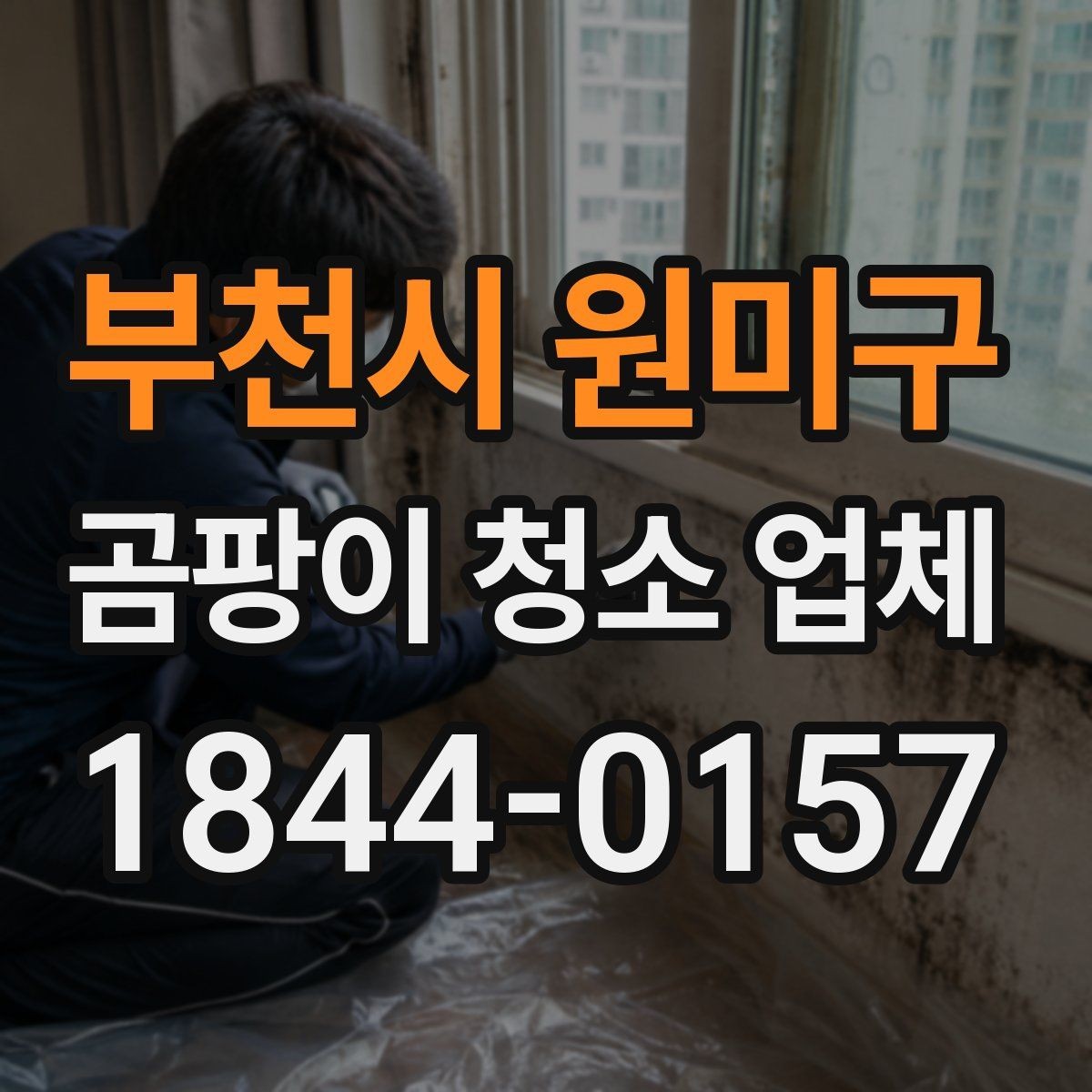 부천시 원미구 곰팡이 청소 업체 알레르기 걱정이 있을 때 살펴볼 기준