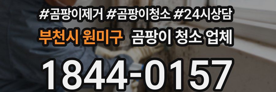 부천시 원미구 곰팡이 청소 업체