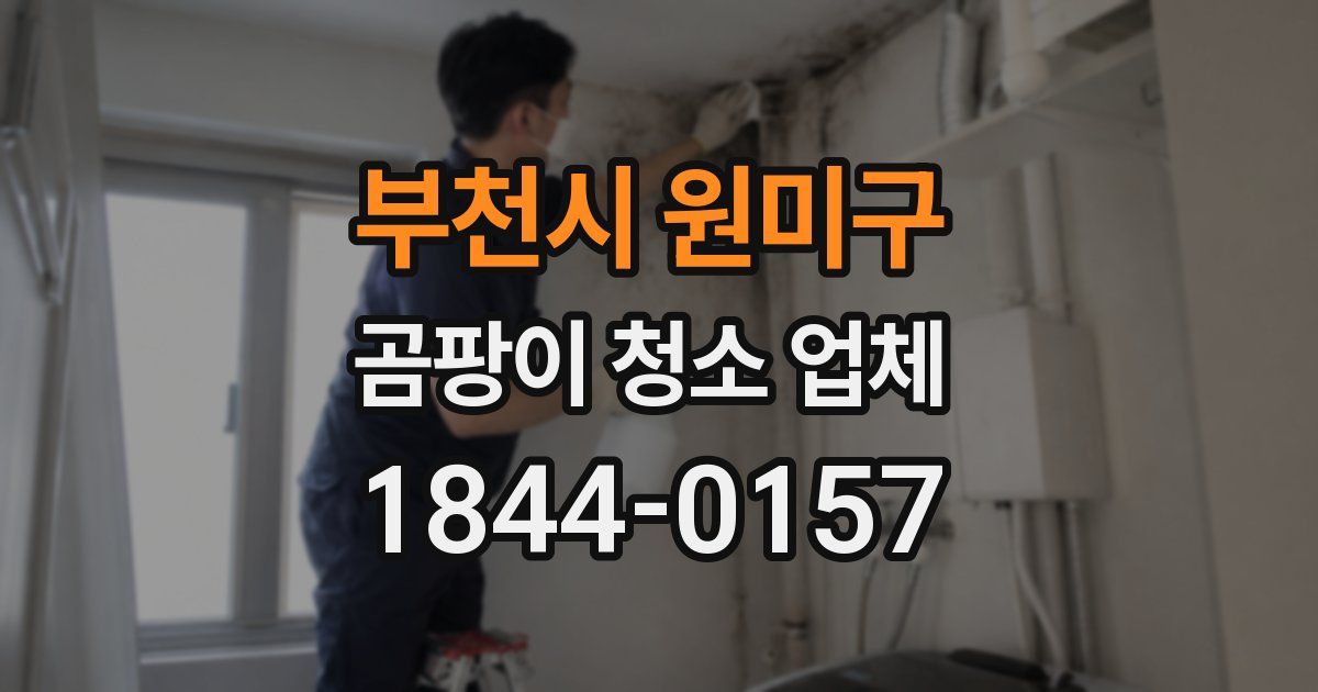 부천시 원미구 곰팡이 청소 업체