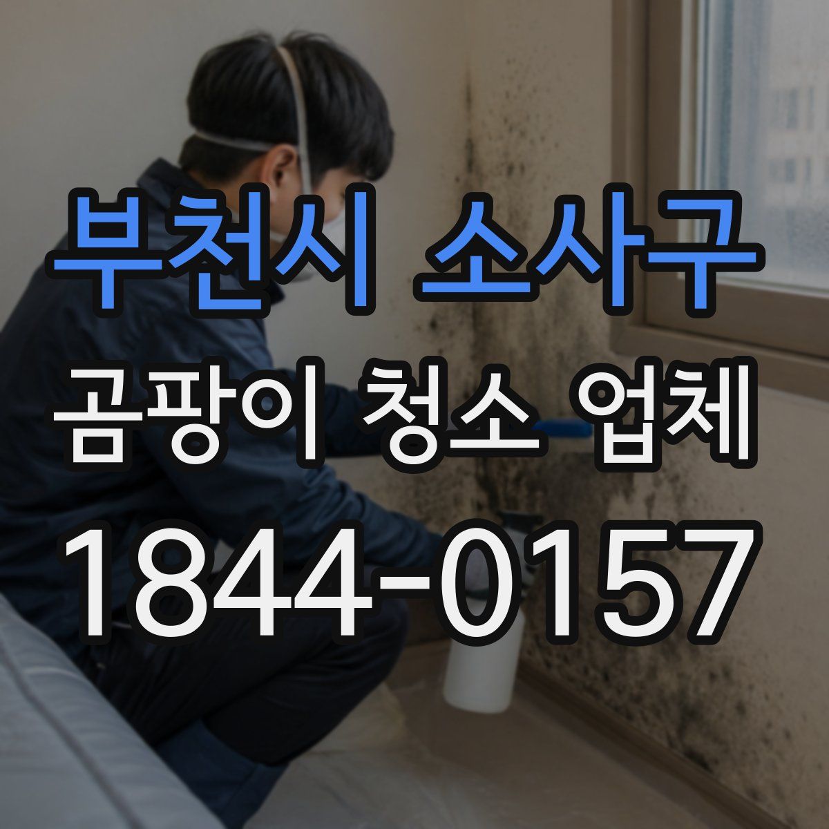 부천시 소사구 곰팡이 청소 업체