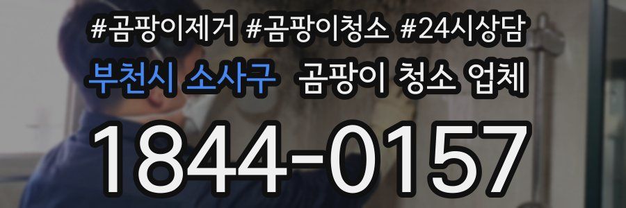 부천시 소사구 곰팡이 청소 업체