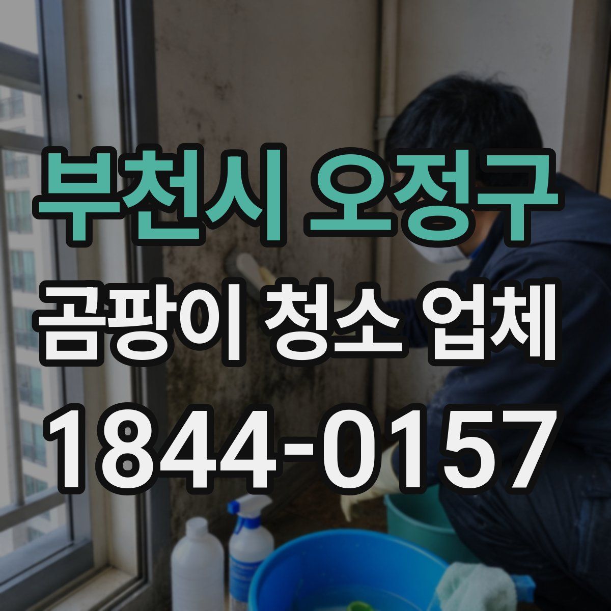부천시 오정구 곰팡이 청소 업체