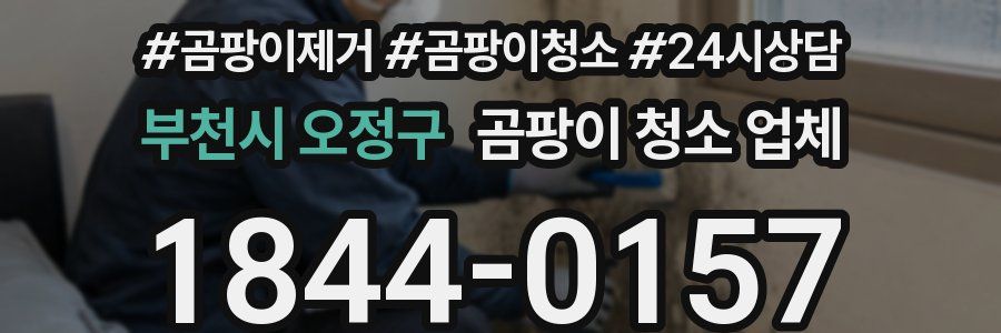부천시 오정구 곰팡이 청소 업체