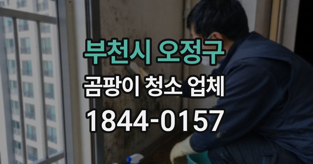 부천시 오정구 곰팡이 청소 업체