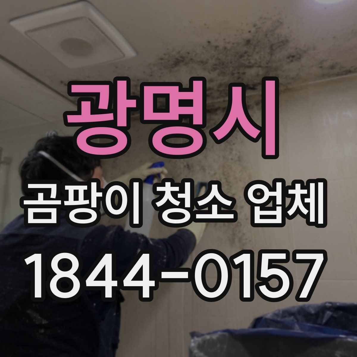 광명시 곰팡이 청소 업체
